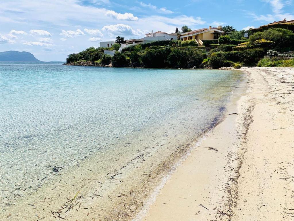 Residenze Il Girasole Aparthotel Golfo Aranci Luaran gambar